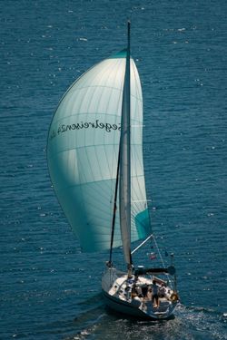 Skippertraining auf der Adria, Segeln lernen Kroatien